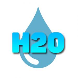 H20