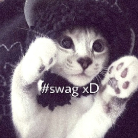 Dax Ilqewid